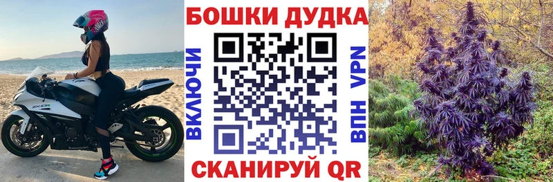 Купить наркотики сайты Сосновый Бор Гашиш  Codein  A-PVP  БУТИРАТ  Бошки Шишки  Меф  АМФЕТАМИН 