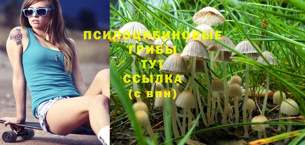 кокс Костерёво