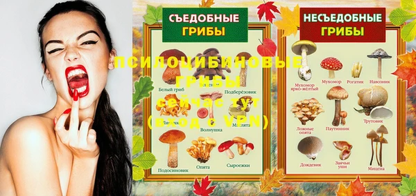 MDMA Premium VHQ Козловка