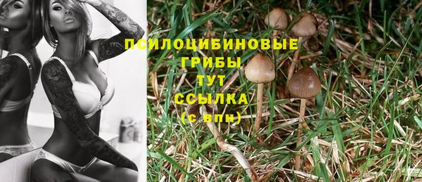 каннабис Козельск