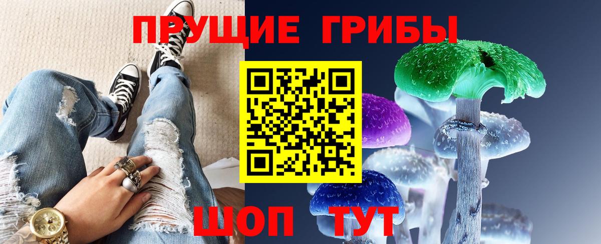 Галлюциногенные грибы прущие грибы  Вход с VPN  Сосновый Бор  Псилоцибиновые грибы прущие грибы 
