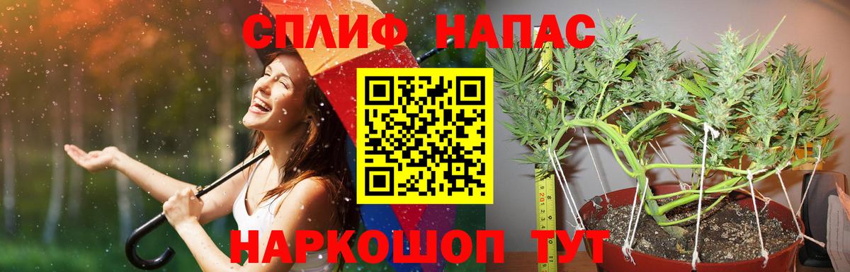 Сосновый Бор  МАРИХУАНА Amnesia  Вход с VPN  Каннабис сатива  МАРИХУАНА тримм  Бошки Шишки тримм 